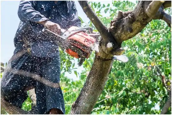 tree services Mosier